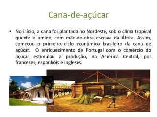 Cana-de-açúcar
• No início, a cana foi plantada no Nordeste, sob o clima tropical
  quente e úmido, com mão-de-obra escrava da África. Assim,
  começou o primeiro ciclo econômico brasileiro da cana de
  açúcar. O enriquecimento de Portugal com o comércio do
  açúcar estimulou a produção, na América Central, por
  franceses, espanhóis e ingleses.
 
