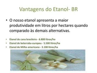 Vantagens do Etanol- BR
• O nosso etanol apresenta a maior
  produtividade em litros por hectares quando
  comparado às demais alternativas.
• Etanol de cana brasileiro - 6.800 litros/ha
• Etanol de beterraba europeu - 5.500 litros/ha
• Etanol de Milho americano - 3.100 litros/ha
 