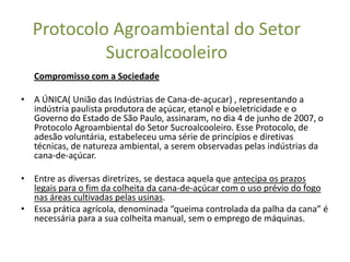 Protocolo Agroambiental do Setor
           Sucroalcooleiro
   Compromisso com a Sociedade

• A ÚNICA( União das Indústrias de Cana-de-açucar) , representando a
  indústria paulista produtora de açúcar, etanol e bioeletricidade e o
  Governo do Estado de São Paulo, assinaram, no dia 4 de junho de 2007, o
  Protocolo Agroambiental do Setor Sucroalcooleiro. Esse Protocolo, de
  adesão voluntária, estabeleceu uma série de princípios e diretivas
  técnicas, de natureza ambiental, a serem observadas pelas indústrias da
  cana-de-açúcar.

• Entre as diversas diretrizes, se destaca aquela que antecipa os prazos
  legais para o fim da colheita da cana-de-açúcar com o uso prévio do fogo
  nas áreas cultivadas pelas usinas.
• Essa prática agrícola, denominada “queima controlada da palha da cana” é
  necessária para a sua colheita manual, sem o emprego de máquinas.
 