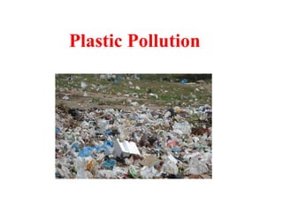 Plastic Pollution
 