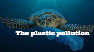 The plastic pollution
 