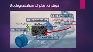 Biodegradation of plastics steps
 