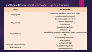 Biodegradation: most common : genus Bacillus
 