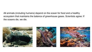 All animals (including humans) depend on the ocean for food and a healthy
ecosystem that maintains the balance of greenhouse gases. Scientists agree: If
the oceans die, we die.
 