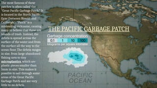 THE PACIFIC GARBAGE PATCH
The most famous of these
patches is often called the
“Great Pacific Garbage Patch.” It
is located in the North Pacific
Gyre (between Hawaii and
California). “Patch” is a
misleading nickname, causing
many to believe that these are
islands of trash. Instead, the
debris is spread across the
surface of the water and from
the surface all the way to the
ocean floor. The debris ranges
in size, from large abandoned
fishing nets to tiny
microplastics, which are
plastic pieces smaller than
5mm in size. This makes it
possible to sail through some
areas of the Great Pacific
Garbage Patch and see very
little to no debris.
 