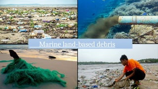 Marine land-based debris
 