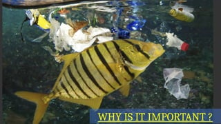 “
WHY IS IT IMPORTANT ?
 