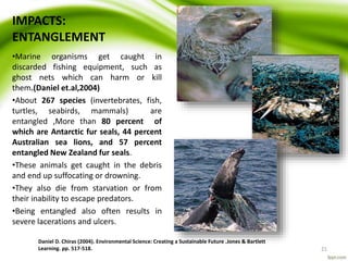 IMPACTS:
ENTANGLEMENT
•Marine organisms get caught in
discarded fishing equipment, such as
ghost nets which can harm or kill
them.(Daniel et.al,2004)
•About 267 species (invertebrates, fish,
turtles, seabirds, mammals) are
entangled ,More than 80 percent of
which are Antarctic fur seals, 44 percent
Australian sea lions, and 57 percent
entangled New Zealand fur seals.
•These animals get caught in the debris
and end up suffocating or drowning.
•They also die from starvation or from
their inability to escape predators.
•Being entangled also often results in
severe lacerations and ulcers.
Daniel D. Chiras (2004). Environmental Science: Creating a Sustainable Future .Jones & Bartlett
Learning. pp. 517-518. 21
 