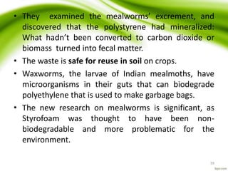 • They examined the mealworms’ excrement, and
discovered that the polystyrene had mineralized:
What hadn’t been converted to carbon dioxide or
biomass turned into fecal matter.
• The waste is safe for reuse in soil on crops.
• Waxworms, the larvae of Indian mealmoths, have
microorganisms in their guts that can biodegrade
polyethylene that is used to make garbage bags.
• The new research on mealworms is significant, as
Styrofoam was thought to have been non-
biodegradable and more problematic for the
environment.
59
 