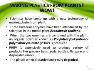 60
MAKING PLASTICS FROM PLANTS!!
WOW!
• Scientists have come up with a new technology of
making plastic from plant.
• Three bacterial enzymes have been introduced by the
scientists in the model plant Arabidopsis thaliana.
• When the two enzymes are combined with the plant,
an organic polymer known as Polyhdroxybutyrate-co-
polyhydroxyvalerate (PHBV) is produced.
• PHBV is extensively used to produce variety of
products like grocery bags, soda bottles, flatware and
disposable razors.
• The plastic when discarded are easily degraded.
 