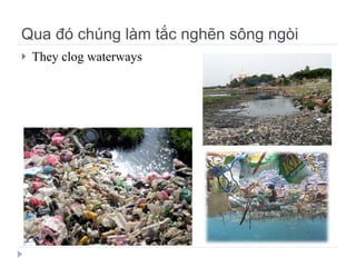 Qua đó chúng làm tắc nghẽn sông ngòi They clog waterways 