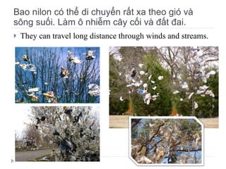 Bao nilon có thể di chuyển rất xa theo gió và sông suối. Làm ô nhiễm cây cối và đất đai. They can travel long distance through winds and streams. 