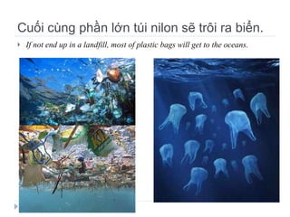 Cuối cùng phần lớn túi nilon sẽ trôi ra biển. If not end up in a landfill, most of plastic bags will get to the oceans. 