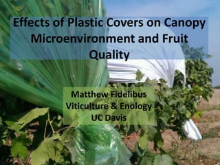Effects of Plastic Covers on Canopy
   Microenvironment and Fruit
               Quality

          Matthew Fidelibus
         Viticulture & Enology
                UC Davis
 