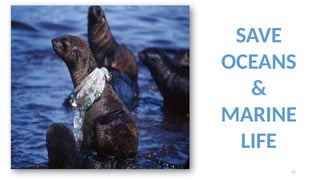 22
SAVE
OCEANS
&
MARINE
LIFE
 