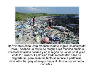 De vez en cuando, esta mancha flotante llega a las costas de
 Hawaii, dejando un rastro de mugre. Esta mancha creció 3
veces en la última década y en la región de Japón se duplica
   cada 2 o 3 años. El plástico tarda mas de 300 años en
   degradarse, pero mientras tanto se reduce a partículas
 diminutas, tan pequeñas que hasta el plancton se alimenta
                          con ellas.
 