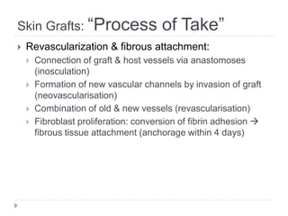 Skin Grafts: “Process of Take”
 Revascularization & fibrous attachment:
 Connection of graft & host vessels via anastomoses
(inosculation)
 Formation of new vascular channels by invasion of graft
(neovascularisation)
 Combination of old & new vessels (revascularisation)
 Fibroblast proliferation: conversion of fibrin adhesion 
fibrous tissue attachment (anchorage within 4 days)
 
