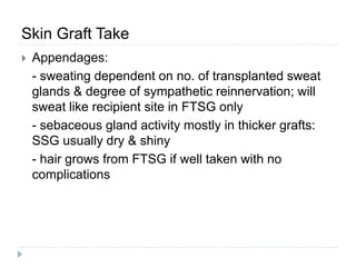 Skin Graft Take
 Appendages:
- sweating dependent on no. of transplanted sweat
glands & degree of sympathetic reinnervation; will
sweat like recipient site in FTSG only
- sebaceous gland activity mostly in thicker grafts:
SSG usually dry & shiny
- hair grows from FTSG if well taken with no
complications
 