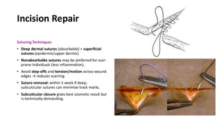 Comprehensive Overview of Plastic & Reconstructive Surgery Techniques ...