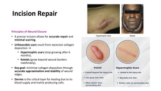 Comprehensive Overview of Plastic & Reconstructive Surgery Techniques ...