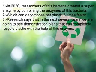 1:-In 2020, researchers of this bacteria created a super
enzyme by combining the enzymes of this bacteria.
2:-Which can decompose pet plastic 6 times faster.
3:-Research says that in the next several years we are
going to see demonstration plans that can completely
recycle plastic with the help of this enzyme.
 