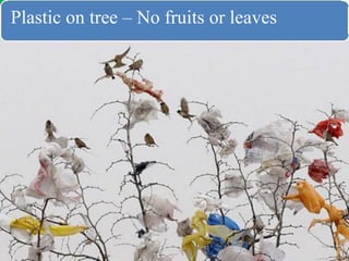 Plastic waste management & awareness