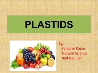 PLASTIDS
By,
Panjami Rajan
Natural Science
Roll No. : 27
1
 