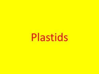 Plastids
 
