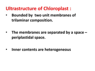 Ultrastructure of Chloroplast :
• Bounded by two unit membranes of
trilaminar composition.
• The membranes are separated b...