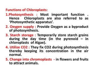Functions of Chloroplasts:
1.Photosynthesis : Most important function .
Hence Chloroplasts are also referred to as
‘Photos...