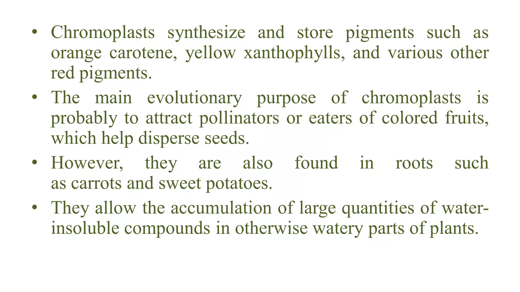 Plastids presentation | PDF