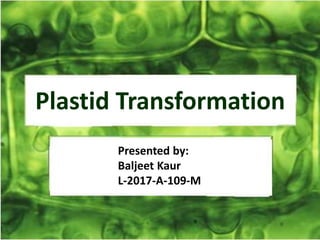 Plastid Transformation
Presented by:
Baljeet Kaur
L-2017-A-109-M
 
