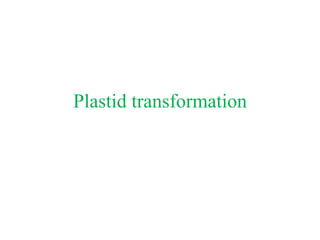 Plastid transformation
 