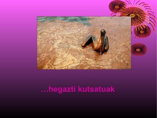 …hegazti kutsatuak
 