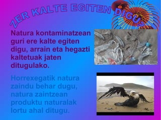 Natura kontaminatzean
guri ere kalte egiten
digu, arrain eta hegazti
kaltetuak jaten
ditugulako.
Horrexegatik natura
zaindu behar dugu,
natura zaintzean
produktu naturalak
lortu ahal ditugu.
 