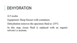 DEHYDRATION
4-5 weeks
Equipment: Deep freezer with containers
Dehydration removes the specimen fluid at -25°C.
In this step, tissue fluid is replaced with an organic
solvent i.e acetone.
 