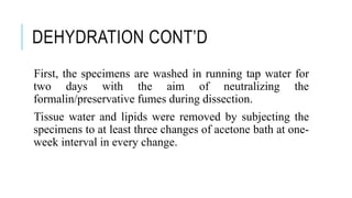 DEHYDRATION CONT’D
First, the specimens are washed in running tap water for
two days with the aim of neutralizing the
formalin/preservative fumes during dissection.
Tissue water and lipids were removed by subjecting the
specimens to at least three changes of acetone bath at one-
week interval in every change.
 