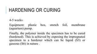 HARDENING OR CURING
4-5 weeks
Equipment: plastic box, stretch foil, membrane
(aquarium) pump.
Finally, the polymer inside the specimen has to be cured
(hardened). This is achieved by exposing the impregnated
specimen to a hardener which can be liquid (S3) or
gaseous (S6) in nature .
 