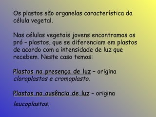 Os plastos são organelas característica da
célula vegetal.
Nas células vegetais jovens encontramos os
pró – plastos, que se diferenciam em plastos
de acordo com a intensidade de luz que
recebem. Neste caso temos:
Plastos na presença de luz – origina
cloroplastos e cromoplasto.
Plastos na ausência de luz – origina

leucoplastos.

 
