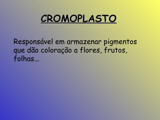 CROMOPLASTO
Responsável em armazenar pigmentos
que dão coloração a flores, frutos,
folhas...

 