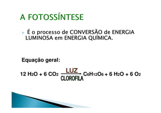 É o processo de CONVERSÃO de ENERGIA
 LUMINOSA em ENERGIA QUÍMICA.



Equação geral:

12 H2O + 6 CO2      C6H12O6 + 6 H2O + 6 O2
 