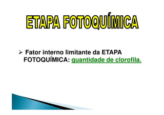 Fator interno limitante da ETAPA
FOTOQUÍMICA: quantidade de clorofila.
 