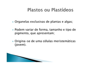 Organelas exclusivas de plantas e algas;

Podem variar de forma, tamanho e tipo de
pigmento, que apresentam;

Origina-se de uma células meristemáticas
(jovem).
 