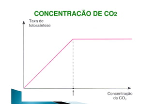 CONCENTRAÇÃO DE CO2
 