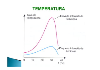 TEMPERATURA
 