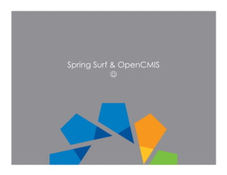 Spring Surf & OpenCMIS
            
 