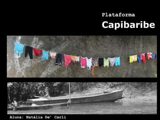 Plataforma   Capibaribe Aluna: Natália De’ Carli 