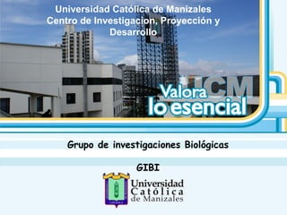 Universidad Católica de Manizales Centro de Investigacion, Proyección y Desarrollo Grupo de investigaciones Biológicas GIBI 