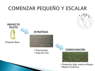 PROYECTO
PILOTO

ESTRATEGIA

Proyecto Base

 Priorización
 Hoja de ruta

CONSOLIDACIÓN

• Proyectos bajo nuevo enfoque
• Mejora Continua

 