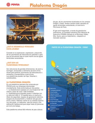 ¿QUÉ ES DESARROLLO PETROLERO
COSTA AFUERA?
Consiste en la exploración, explotación y desarrollo
de los yacimientos de hidrocarburos (petróleo o gas)
que se encuentran bajo el suelo marino de las aguas
territoriales venezolanas.
¿QUÉ SON LAS
PLATAFORMAS PETROLERAS?
Son estructuras de grandes dimensiones, de acero y
hormigón, enclavadas a kilómetros de tierra firme.
Sirven para perforar yacimientos de hidrocarburos o
extraerlos y transportarlos a tierra firme.
Las plataformas pueden ser fijas, flotantes o
autoelevables.
LA PLATAFORMA DRAGÓN.
Es una plataforma petrolera fija construida por
PDVSA junto con empresas reconocidas
mundialmente. Está conformada por dos partes:
1.- La Subestructura (jacket) con una longitud de 140
metros y peso de unas 7.500 toneladas.
2.- Superestructura (topside) posee 4 cubiertas con
2
un área de 5.000 m . El topside tiene un mechurrio
(flare) de seguridad, equipos de generación eléctrica,
equipos de procesamiento y medición del gas para
envío a tierra. Además cuenta en su cubierta superior,
con dos grúas, un helipuerto, sala de control y una
edificación habitacional para alojar hasta 32 personas
por turno de trabajo.
Esta plataforma extrae 600 millones de pies cúbicos
de gas, de los yacimientos localizados en los campos
Dragón y Patao. Ambos campos están ubicados en
aguas territoriales venezolanas, al norte de la
Península de Paria.
El gas será trasportado, a través de gasoductos
submarinos, al Complejo Industrial Gran Mariscal de
Ayacucho (CIGMA) ubicado en el Municipio Vádez,
Edo. Sucre, para su tratamiento y despacho al
mercado nacional.
Suelo Marino
Superestructura
(Topside)
Subestructura
(Jacket)
Mechurrio
Turbogeneradores
Grúa Auxiliar
Sala de Control
Edificio Habitacional
Helipuerto
Grúa Principal
Embarcación Rápida
de Rescate
Cubierta de Producción
(Equipos)
Cubierta Inferior
(Equipos)
1
3
4
5 6
7
8
9
10
2
1
2
3
4
5
6
7
8
9
10
PARTES DE LA PLATAFORMA DRAGÓN - PATAO
Plataforma Dragón
Plataforma Dragón
Plataforma Dragón
 